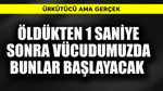 Öldükten 1 saniye sonra vücudumuzda bunlar başlayacak! Ürkütücü ama gerçek