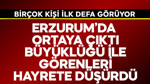 Erzurum'da ortaya çıktı! Büyüklüğü ile görenleri hayrete düşürdü