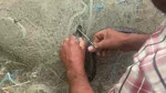 Hatay'da 1 tanesi ağlara dolanmış can çekişiyordu! Elleriyle müdahale etti