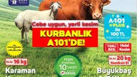 A101 30 Haziran kataloğuna kurbanlık geldi! A101'de kurbanlık, fiber tekne, elektrikli motosiklet ve daha fazlası var!