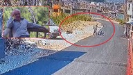 Hatay'da korkunç olay: Elindeki sopayla yolunu kesti, defalarca vurdu!