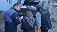 Sinop'ta denetim sırasında teknede bulundu! Kaçak avlanan 380 tanesine anında el konuldu