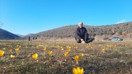 Konya'da her yıl kendisine hayran bırakan manzara, bu yıl endişelendirdi. Onları, kimse bu kadar erken beklemiyordu