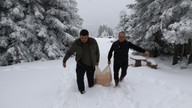 Uludağ'da karla kaplı araziye çıkan ekipler, bu kez yaban hayvanları için harekete geçti