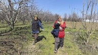 Bursa'da meyve bahçesinde çalışan mevsimlik işçiler yaralı halde buldu. Tedavi edilmek üzere yetkililere teslim edildi