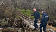 Yozgat'ta deredeki korkunç manzara! Devasa canlının ölüsünü görenler gözlerine inanamadı. Kamyonet ile gelip dereye bırakıp gitmişler