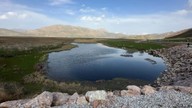 Hakkari'nin Yüksekova ilçe merkezine 20 kilometre uzaklıkta bulunan bölgede fışkırmaya başladılar. Yakında Türkiye'de her yer olacaklar
