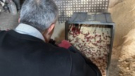 Tokat'ta 300.000 tanesi teker teker üretildi... 35 ile birden gönderilip tüm Türkiye'ye birden dağıtılacaklar