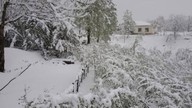 Karadeniz'in gözbebeği fındıkta büyük tehlike! Endişeli bekleyiş sürüyor