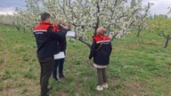 Iğdır'da İl Tarım ve Orman Müdürlüğü ekiplerinden önemli adım! İl genelinde tespit ederek önlem alacaklar