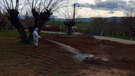 Elazığ’da yakında 50.000'lercesi her taraftan fırlayacak. Türkiye'de de öyle olacak. O hayvana karşı hazırlık başladı