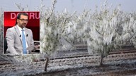 Tarım ve Orman Bakanı Yumaklı'dan tv100'e özel açıklama: Zirai dondan etkilenen çiftçilere çağrı: "Çiftçilerimiz oraya kayıt olsunlar"