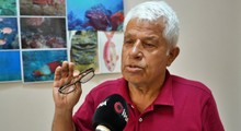 Son Dakika: Köpek balıklarına yapılan "gösteri işkencesi