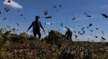 Son Dakika: Elazığ ve Antalya'da başladı!