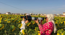 Son Dakika: Ayçiçeği tarlaları fotoğraf stüdyosuna dönüştü