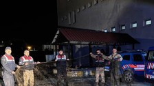 Van'da 1.000 kilogramı doğaya jandarma eşliğinde yeniden salındı.... 1000'lercesi kurtulur kurtulmaz doğanın her yerine dağıldı