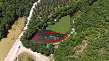 Çanakkale'de doğada ondan 1 tanesini bile görürseniz yaklaşmadan uzaktan bakın. Dokunanlardan söke söke 557 bin 212 alınıyor