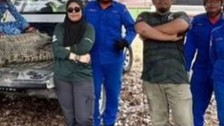 Doğada herkesin ormanda korkulu rüyasıydı... 410 kilogram ağırlığındaki canavar, ekiplerin getirdiği çok sayıda ip sayesinde zapt edilebildi kabus sona erdi