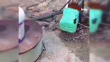 Adana'da ortaya çıktı... 2 metre uzunluğu vardı Adana'dan sonra Hatay, Mersin, Gaziantep, Kilis, Şanlıurfa ve Diyarbakır'a o hayvanla ilgili acil uyarı