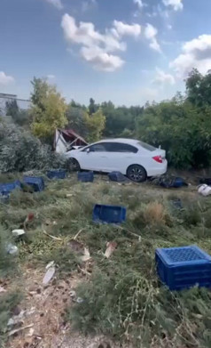 Bahçede korkunç olay! Zeytin toplayan işçi feci şekilde can verdi: Yaralılar var - Resim : 1