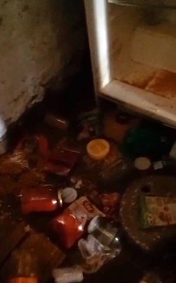 Trabzon'un Araklı ilçesinde doğada kış uykusundan uyandı. Tek 1 başına yapmaması gerekeni yaptı. Türkiye hazır olsun 200'lerce uyanacak - Resim: 1
