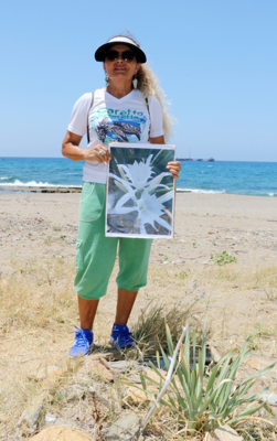 Alanya'da doğada her yerde görülmeye başladılar. Dokunanın 387 bin 141 TL'si yanacak - Resim: 1