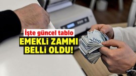 Emekliye gelecek zam belli oldu! İşte güncel tablo....