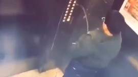 Görüntüler 'yok artık' dedirtti! Asansöre işedi sonunun böyle olacağını tahmin etmedi