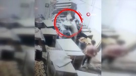 ''Beni sen ispiyonladın'' dedi, arkadaşını bıçaklayarak öldürdü