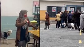Sandıklarda ilginç görüntüler! Kuzusuyla birlikte oy verdi!