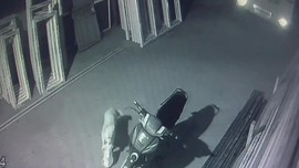 Mangal yapmak için aldıkları iki kilo pirzolayı köpeğe kaptırdılar! Tepkileri daha da komik
