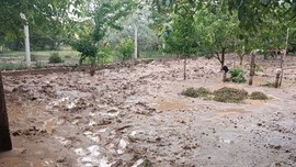 Sağanak etkisini göstermeye devam ediyor! Bir ilde daha su baskınları yaşandı, hayvanlar telef oldu