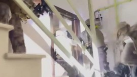 İstanbul merkezli suç çetesine operasyon: 20 şüpheli yakalandı