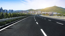 Başıboş halde otoyola atlayıp trafiği durma noktasına getirdi. Nereden çıkıp geldiği bilinmeyen hayvan sürücüler tarafından kayda alındı