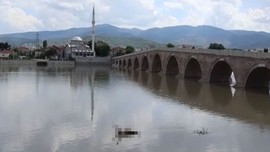 Çorum'da korkunç manzara... İki inek leşi günlerce Kızılırmak'ta kalınca vatandaşlar itfaiye ekiplerine ihbar etti