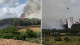 Anız yangını ormana sıçradı! Alevlere havadan ve karadan müdahale edildi