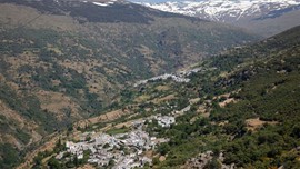 Dağda yürüyüşe çıkan iki turist, kızgın hayvan tarafından saldırıya uğradı. Ancak hayvanın saldırmasının geçerli bir sebebi vardı