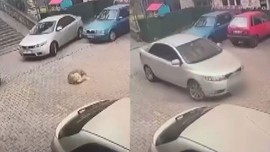 İstanbul'da tepki çeken görüntü! Önce ezdi yetmedi tekrar ezerek öldürdü! Cani adam serbest bırakıldı