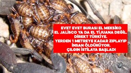 iyi bir adamla tanışmak için sorular ifsa turk pornolari