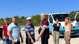 Manisa'da 30 bin tanesi aynı ekipler tarafından getirildi... 30 bin tanesi birden aynı yere bırakıldı... Hepsi peş peşe hücuma geçti hızlarına yetişilemedi