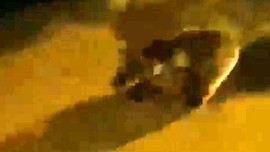 Sayıları giderek artan canlı, Türkiye'de herkesin korkulu rüyası oldu, her yerden çıkıyorlar. Herkes bir an önce kış gelmesi için dua ediyor