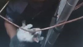 Kuyuya düşen yavru kedi itfaiye ekipleri tarafından kurtarıldı