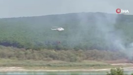 Terkos Gölü kıyısında yangın