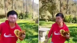Balı çok seven adam, hiçbir şeye aldırmadan elindeki petek balı ısıra ısıra yedi. Bal sevgisi, dakikalar içinde yüzünün şeklinin değişmesine neden oldu
