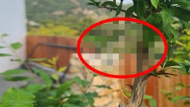 Türkiye'de neler oluyor, bu hiç hayra alamet değil. Önce Manisa'da sonra Denizli'de. Korkunç bir şey, resmen kıyamet alametir