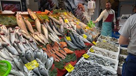Kilosu 100 liradan kendine alıcı bulan sofraların sevilen ismi hamsi tezgahlarda
