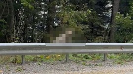 Kastamonu'ya doğru giderken yol kenarında gördü. Karşılaştığı canlıya seslenip cep telefonuyla kayda aldığı sırada çok tuhaf bir şey oldu