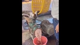 Canlı canlı kıvır kıvır fırlayan balıkları tek tek kıyma makinesine atıp kıyma olarak çekti. Yazıklar olsun sana
