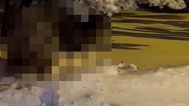 Türkiye için felaket haberin geldiği Bursa'dan yeni görüntü. Bu sefer çok sinirlendiler. Resmen kıyamet alameti