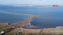 Çanakkale'de 5 yıldan bu yana kaydı yapılıyordu. Araştırmacılar son araştırmasında ilginç bir detayı fark etti